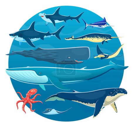 Téléchargez les illustrations : Dessin animé animaux marins, poissons marins de la vie sous-marine, baleines, pieuvres, requins et raies. Animaux marins vecteurs de rorquals bleus, cachalots et rorquals à bosse, requins-marteaux, narvals, marlins, raies gris marine et raies manta - en licence libre de droit