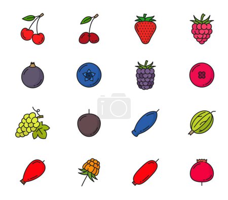 Illustration for Raw berry color line icons. Isolated vector cherry, strawberry, raspberry and black currant. Blueberry, blackberry, cranberry or grapes with honey berry, gooseberry and burberry, cloudberry or rosehip - Royalty Free Image