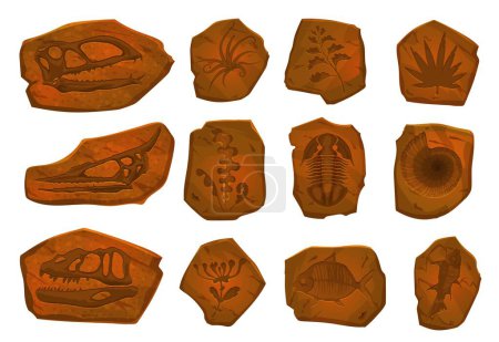 Ilustración de Antiguo fósil de dinosaurio, esqueleto de pez e impronta vegetal en piedra. Conjunto de excavaciones arqueológicas vectoriales. Huellas de Dino, animales marinos y conchas de moluscos en piezas de piedra antiguas, elementos de evolución prehistóricos - Imagen libre de derechos
