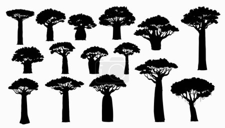 Téléchargez les illustrations : Silhouettes de baobabs africains. continent africain et Madagascar île symbole de la nature, flore de savane. Grands et hauts baobabs avec troncs épais et minces, lianes couvertes silhouette vectorielle isolée - en licence libre de droit