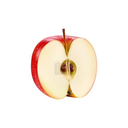 Ilustración de Manzana roja realista, fruta entera cortada en rodajas por la mitad, alimento vectorial aislado. Fruta de manzana fresca con sección cortada o lóbulo para jugo o mermelada y envase de productos alimenticios ecológicos - Imagen libre de derechos