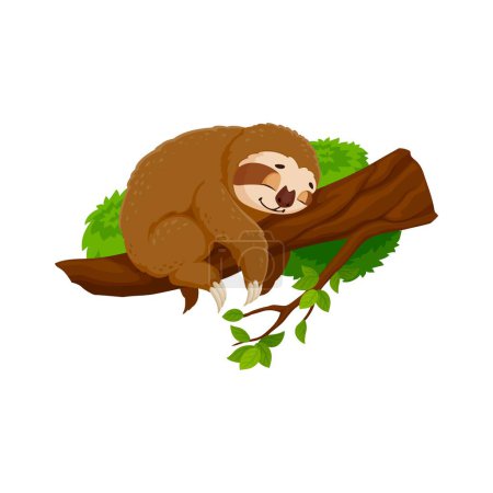 Illustration for Cartoon funny sloth character peacefully slumbers on tree branch. Isolated vector cute tropical animal nap, its tranquil expression and relaxed posture capturing the essence slow and easygoing nature - Royalty Free Image