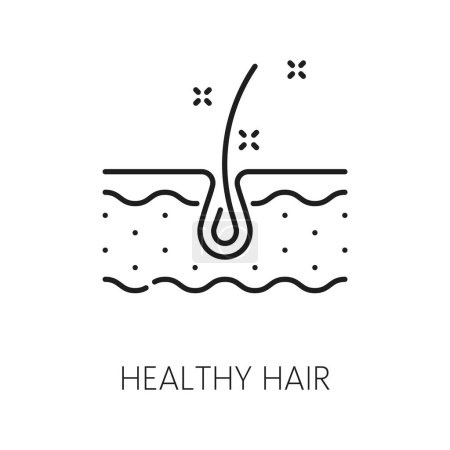 Illustration for Healthy hair care and treatment thin line icon. Haircare cosmetology or bathroom cosmetics, woman beauty salon treatment outline vector pictogram with hair follicle in skin layer - Royalty Free Image