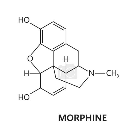 Illustration for Morphine drug molecule and formula, chemical structure of opiate narcotic, vector model. Synthetic or organic opioid drug and prohibited stimulant substance, morphine formula and molecular structure - Royalty Free Image