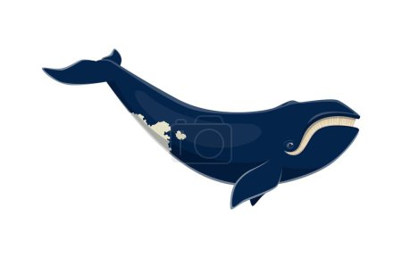 Téléchargez les illustrations : Caractère de baleine bleue. Vecteur de dessin animé isolé plus grand animal sur terre, vivant dans les océans. Majestueuse et magnifique créature marine connue pour sa taille immense et sa coloration bleu-gris distinctive - en licence libre de droit
