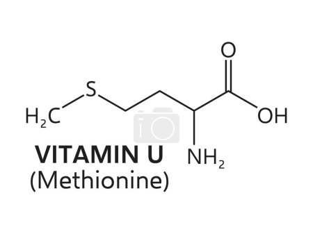 Ilustración de La vitamina U, o fórmula de cloruro de metilmetioninesulfonio, derivada de metionina, consiste en átomos de carbono, hidrógeno, azufre y cloro dispuestos en una estructura molecular específica, esquema vectorial - Imagen libre de derechos