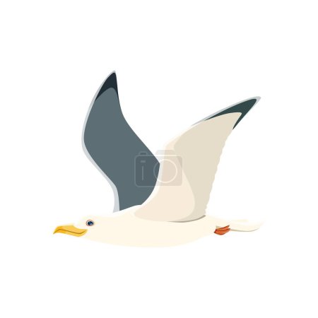 Illustration for Cartoon seagull, isolated vector graceful and agile bird, soars in the air, its wings catching the wind. With sharp eyes and a distinctive call, it embodies the spirit of coastal freedom - Royalty Free Image