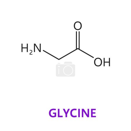Illustration for Neurotransmitter, Glycine chemical formula and molecular structure, vector molecule. Glycine amino acid and proteinogenic neurotransmitter and neuromodulator in metabolic biosynthesis in human body - Royalty Free Image