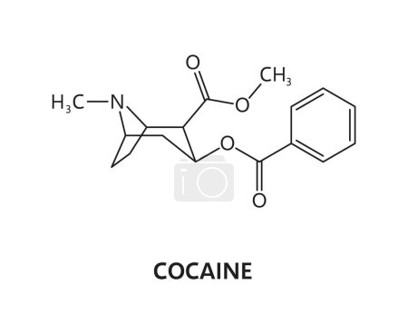 Illustration for Cocaine drug molecule formula and chemical structure, synthetic or organic drugs vector model. Molecular structure and chemical formula of cocaine drug or narcotic substance for medicine and pharmacy - Royalty Free Image