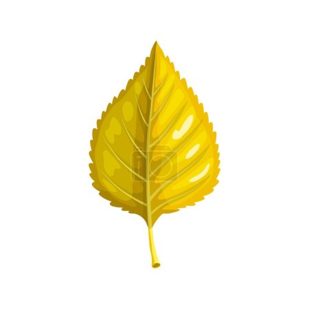 Illustration for Yellow birch leaf, isolated cartoon vector autumn forest foliage element with ovate shape, veins and delicately detailed serrated edges, capturing the essence of autumnal beauty - Royalty Free Image