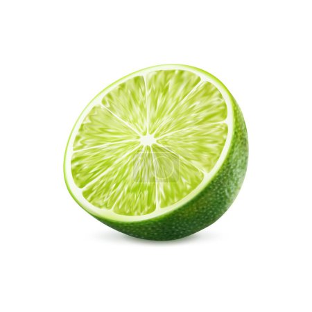 Illustration for Realistic green ripe raw lime fruit, isolated half slice citrus fruit. Isolated 3d vector vibrant part, bursting with freshness, reveals its juicy flesh and tiny streaks, promise burst of tangy flavor - Royalty Free Image