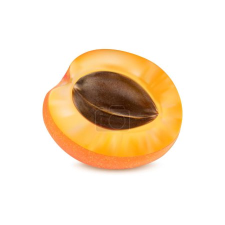 Illustration for Realistic ripe raw apricot fruit, isolated half. 3d vector sliced plant reveals its golden, juicy half, showcasing a solitary seed nestled within. Succulent texture promise sweet and refreshing taste - Royalty Free Image