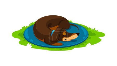Illustration for Cartoon dachshund dog puppy character peacefully slumbers in the vibrant green grass, wrapped in cozy tranquility amid nature soothing embrace. Cute vector pet curl up in a ball, enjoying summer dream - Royalty Free Image