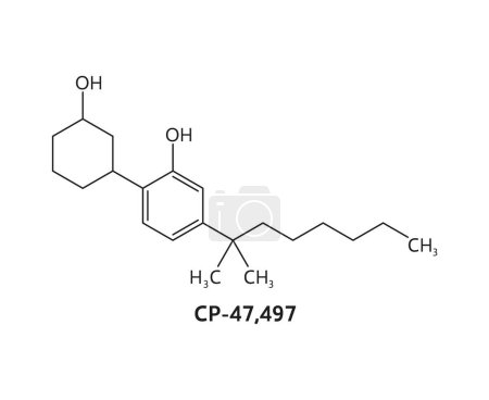 Illustration for CP 47,497 drug molecule and chemical formula structure of narcotic substance, vector model. CP 47,497 synthetic or Cannabicyclohexanol organic cannabinoid and psychoactive drug in molecular formula - Royalty Free Image