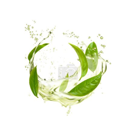 Illustration for Green herbal tea leaves and wave splash with drop. Isolated 3d vector drink swirl, transparent beverage cascade with fresh foliage exuding invigorating aura, fresh clear natural refreshment flow - Royalty Free Image