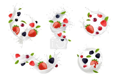 Illustration for Milk swirl and wave splashes with berry fruits, vector drink, food or cosmetics. Realistic 3d milk shake splashes with creamy drops, fresh strawberry, raspberry, blackberry, cranberry and mint leaves - Royalty Free Image