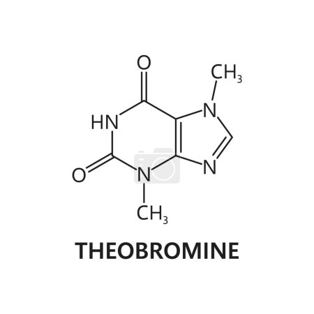 Illustration for Theobromine, chocolate chemical molecule formula and molecular structure, vector icon. Theobromine xantheose alkaloid in molecular bond structure and atom connection for biosynthesis or pharmacology - Royalty Free Image
