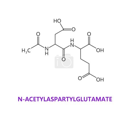 Ilustración de Fórmula química del péptido del neurotransmisor N-acetilaspartilglutamato, estructura de la molécula del vector. Neurotransmisor de fórmula N-acetilaspartilglutámico o NAAG de receptores de glutamato metabotrópico - Imagen libre de derechos