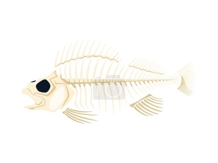 Illustration for Cartoon fish skeleton, stripped of flesh. Isolated vector delicate and intricate bones creating a hauntingly beautiful silhouette that echoes the mysteries of the underwater world. Dead fish anatomy - Royalty Free Image
