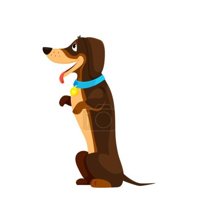 Illustration for Cartoon dachshund dog puppy character perched on hind legs, wears a mischievous grin and collar. Adorable yet quirky vector doggy pet, captures attention with its playful charm and curious demeanor - Royalty Free Image