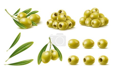 Illustration for Realistic green olives, isolated olive branch with leaves. Isolated vector set of tasty and briny popular mediterranean snack with vibrant green color and firm texture. Versatile cuisine ingredient - Royalty Free Image