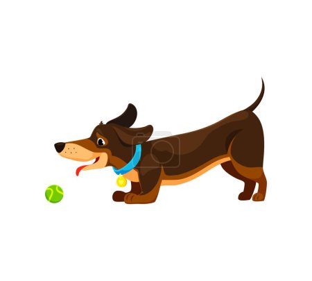 Illustration for Cartoon dachshund dog puppy character chasing and fetching a bright, bouncy tennis ball. Isolated vector playful pet with a wagging tail and lively expression, playing games with enthusiasm and joy - Royalty Free Image