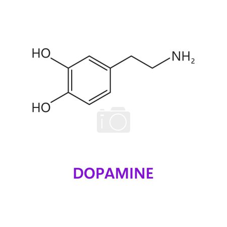 Illustration for Neurotransmitter, Dopamine chemical formula and molecular structure, vector molecule. Dopamine neuromodulator or neurons and nerve cells signal modulator in nervous system and human body receptors - Royalty Free Image