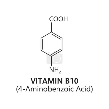 Illustration for Vitamin b10, 4-aminobenzoic acid molecular formula. Vector C7h7no2, showcases structural elements and essential information about this vital nutrient that plays a role in overall cellular function - Royalty Free Image