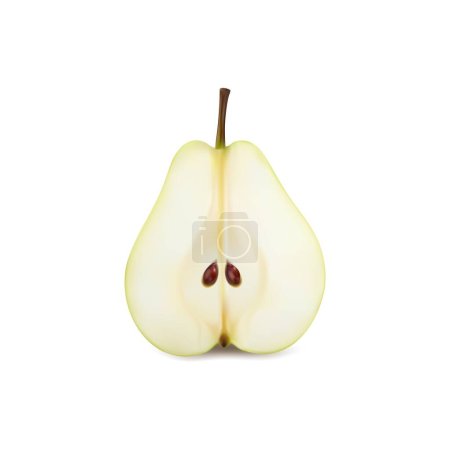 Illustration for Ripe raw realistic green pear fruit half. Isolated 3d vector halved orchard plant slice reveals its juicy interior. Succulent flesh glistens, showcasing sweetness, while the seeds rest within the core - Royalty Free Image