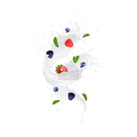 Illustration for Yogurt drink, milk swirl splash with berries and mint leaves. Isolated vector 3d cream, yoghurt or milk shake stream with realistic strawberry, raspberry, blueberry, blackberry fruits and creamy drops - Royalty Free Image