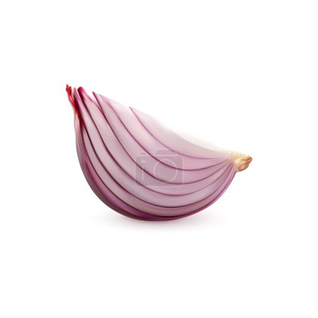 Illustration for Ripe raw realistic red onion vegetable slice, isolated veggie 3d vector peeled quarter. Fresh, crisp, and pungent veg add a zesty crunch to meals, elevating flavors with bold, unmistakable aroma - Royalty Free Image
