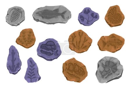 Ilustración de Antiguo fósil de dinosaurio, esqueleto de pez e impronta vegetal en piedra. Objetos de evolución prehistórica vectorial, conjunto de excavaciones arqueológicas. Huellas de Dino, animales marinos y conchas de moluscos en piezas de piedra antiguas - Imagen libre de derechos