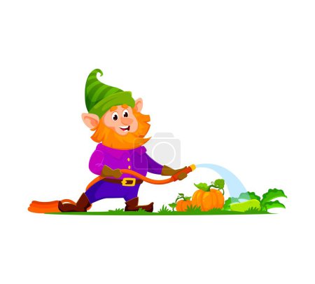 Illustration for Cartoon gnome or dwarf gardener character. Isolated vector amusing personage tends to vibrant vegetables, joyfully watering the garden with a magical touch, creating a scene of enchanting cultivation - Royalty Free Image