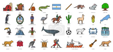 Illustration for Argentina color line icons, argentine travel symbols. Ranch, wine, mate tea and caiman, flag flute, armadillo and chinchilla. Ombu tree, king penguin, coat of arms and shepherd Gaucho, nandu and corn - Royalty Free Image