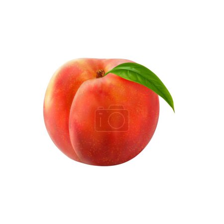 Realistic ripe raw peach fruit. Isolated 3d vector sweet, juicy, whole fruit with fuzzy skin, green leaf and a large pit inside. Its vibrant color and succulent flesh make it a delightful summer treat