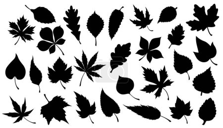 Ilustración de Hoja de siluetas negras de plantas o árboles. Follaje vectorial de arce, roble y castaño, abedul, sauce y sicomoro, álamo, fresno y álamo, naturaleza, flora, ecología y vegetación - Imagen libre de derechos