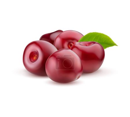 Realistic ripe cherry. Isolated raw red cherry berry bunch and leaf. 3d vector bountiful mound of berries, glistening with vibrant hues, tempting taste buds with succulent allure and natural sweetness