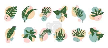 Illustration for Boho leaf and plants, abstract organic shapes floral art and minimalist graphic design, vector set. Boho green leaves of palm and monstera or tropical plants and exotic fern leaf for botanical print - Royalty Free Image