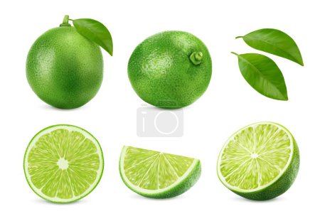 Illustration for Realistic green ripe raw lime fruit, isolated whole, half and slice citrus fruit. 3d vector set of vibrant, juicy parts, exude freshness and zesty burst, promising a tangy flavor in every piece - Royalty Free Image