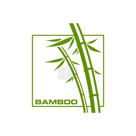 Ilustración de Icono de bambú, masaje SPA, belleza y cosméticos naturales símbolo de vectores. Bambú con hoja verde en emblema de línea cuadrada para la salud, cuidado de la piel orgánico y diseño de paquete de productos SPA con bambú oriental - Imagen libre de derechos