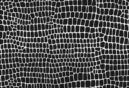 Illustration for Crocodile, dinosaur and snake skin pattern, reptile animal leather background. Vector monochrome seamless texture with distinctive scales and smooth surface, conveying sophistication and elegance - Royalty Free Image