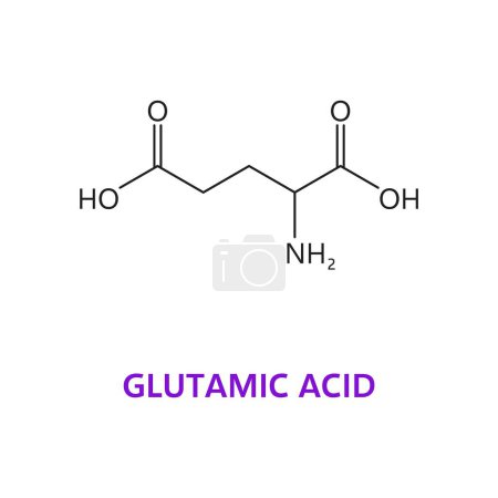 Neurotransmitter, chemische Formel und molekulare Struktur der Glutaminsäure, Vektormolekül. Glutaminsäure oder Glutamat-Aminosäure-Molekülformel des Neuromodulators im Nervensystem von Wirbeltieren