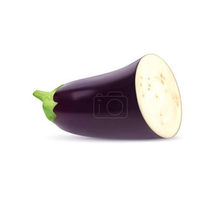 Téléchargez les illustrations : Légumes d'aubergine cru réaliste moitié, végétarien isolé mûr. Vecteur 3D coupé en deux, prêt pour la créativité culinaire, brillant avec une peau pourpre foncé, révèle sa chair blanche crémeuse et ses graines délicates - en licence libre de droit
