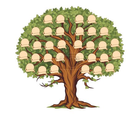 Genealogy family tree or ancestry history branch with frames for photo, vector template. Family tree with blank picture and name ribbons with parents relationship connection for generation genealogy