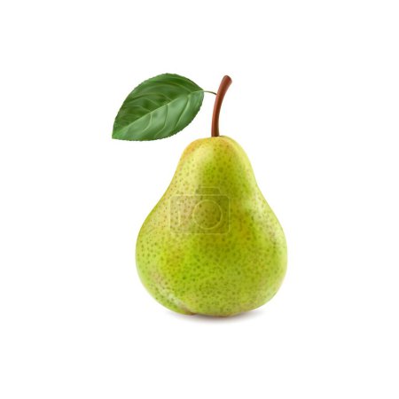 Illustration for Ripe raw realistic green pear whole fruit. Isolated 3d vector pear with leaf, its smooth skin glows with verdant hues. Succulent fruit promises a burst of sweet juiciness with each refreshing bite - Royalty Free Image