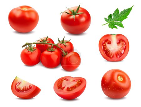 Téléchargez les illustrations : Tomate crue mûre réaliste, moitié et tranches. Isolé vecteur 3D vibrant et dodue cerises pomodoro, mettant en valeur une teinte rouge vif, révèle des graines juteuses et de la chair, respire la fraîcheur et la texture naturelle - en licence libre de droit