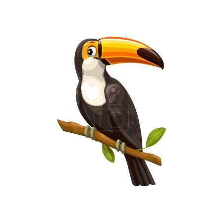 Illustration for Toucan bird sitting on branch. Isolated vector tropical bird with vibrant plumage and distinctive, large, colorful bill. It inhabits central and south american forests, feeding on fruits and insects - Royalty Free Image