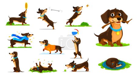 Ilustración de Dibujos animados dachshund perro cachorro personajes actividades y diversión. Personaje perrito vectorial jugando al aire libre con una pelota, rama y placa voladora, atrapando huesos y persiguiendo mariposas, usando ropa o durmiendo - Imagen libre de derechos