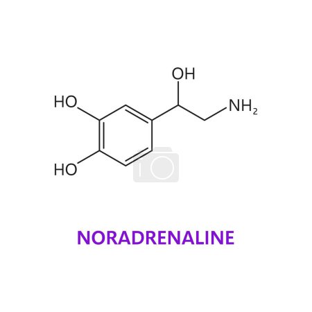 Neurotransmisor, fórmula química noradrenalina y estructura molecular, molécula vectorial. Hormona y neurotransmisor de norepinefrina o noradrenalina en el cuerpo humano o en el sistema nervioso neuromodulador