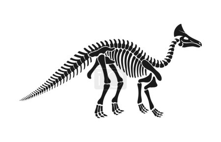 Téléchargez les illustrations : Isolé squelette de dinosaure olorotitan fossile, os de dino silhouette vectorielle noire. Rare découverte, révélant les caractéristiques distinctes de cette créature hadrosauride herbivore de la fin de la période crétacée - en licence libre de droit